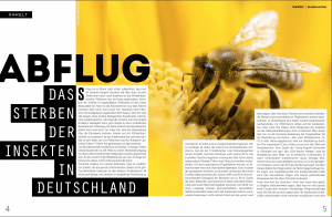 Das große Bienensterben im Welt Vegan Magazin