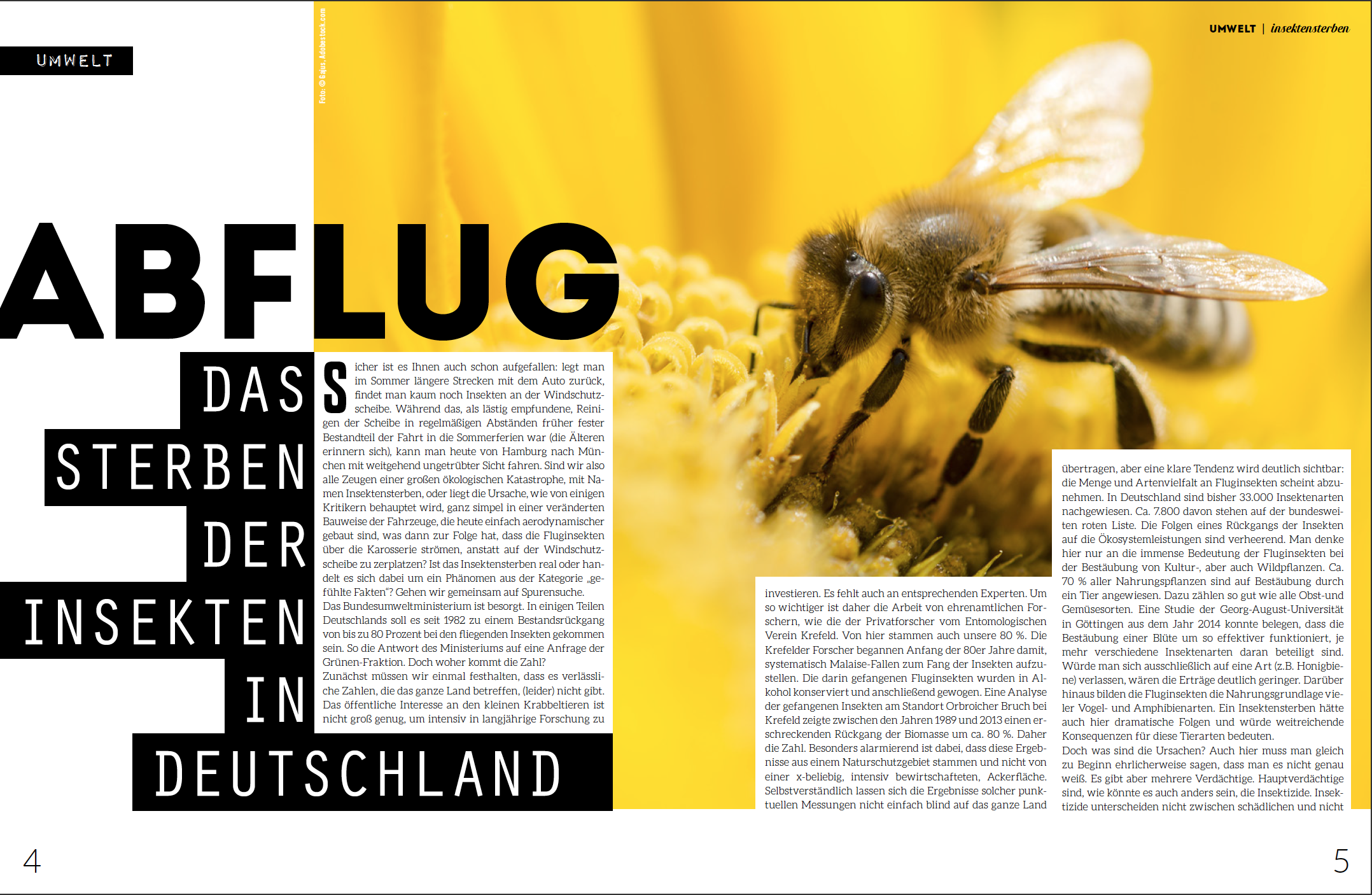 Das große Bienensterben im Welt Vegan Magazin