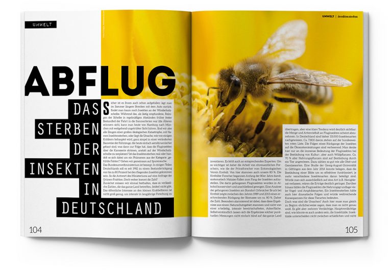 18Bienen