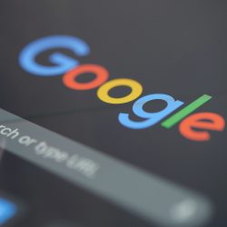 SUCHANFRAGE VEGAN SO HOCH WIE NIE